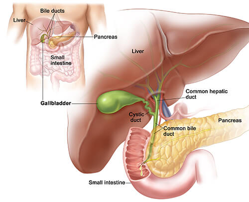 best bladder cancer doctor delhi