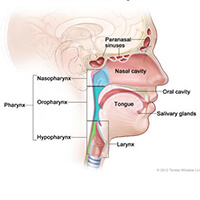 Best Head and Neck Cancer Specialist Delhi