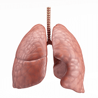 Best Lung Cancer Doctor Delhi