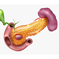 best pancreatic oncologist delhi