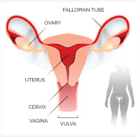 best oncologist for uterine cancer